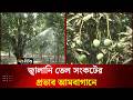 জ্বালানি তেল সংকটের প্রভাব আমবাগানে | Agriculture | Fuel Crisis | Deepto News