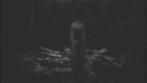 Haunted Fatality [Fatal Frame II, III]