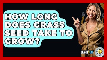 How Long Does Grass Seed Take To Grow? - LearnToDIY360.com