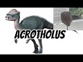 Dinosaur Species  Acrotholus Facts, Size & Behavior