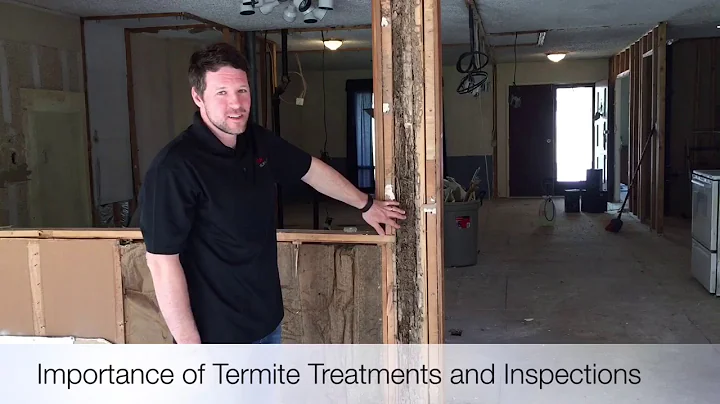 Importance of Termite Treatments & Inspections