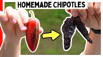 How To Make Chipotle Peppers 🌶️