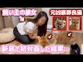 新居に初めて彼女が遊びにきたら猫4匹がまさかの反応でした…