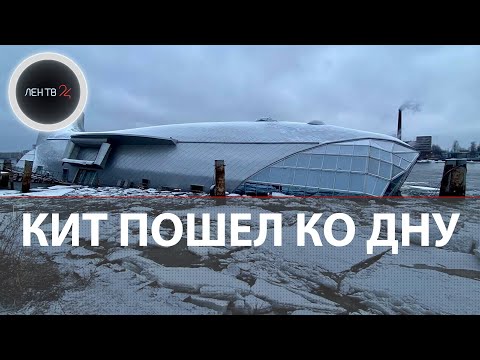 Самый необычный ресторан России затонул в Неве | Серебряный кит: история самого невезучего заведения