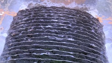 Introducing "The art of wet processing"