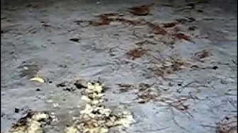 stomping food in mud army boots