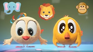 Wheres Chicky? Funny Chicky 2022 Wild Animals Cartoon In English For Kids New Episodes