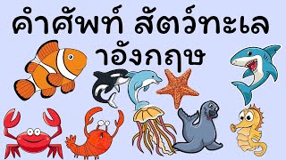 คำศัพท์ สัตว์ทะเล าอังกฤษ Sea Animals - เรียนภาษาอังกฤษ ออนไลน์ ฟรี - GetEng123