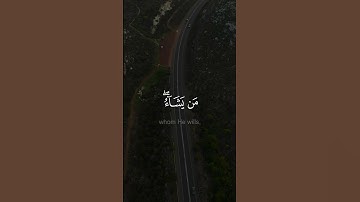 ومـا يستوي الأحياء ولا الأموات - #صلاح_بو_خاطـر  -  #سورة_فاطر #حالة_واتس
