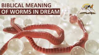 Biblical Meaning of WORMS in Dreams - Find Out Spiritual Meaning of Worms