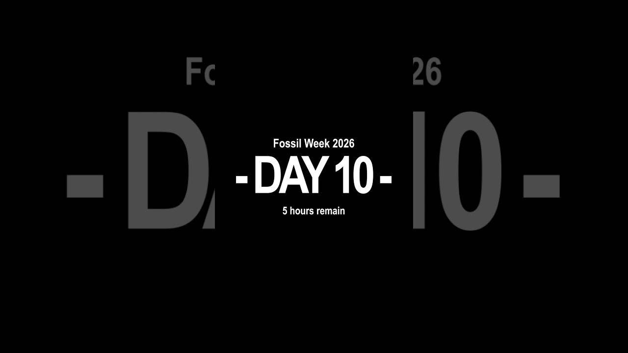 I Revived Fossils for 10 Days and this is what Happened! #FossilWeek #pokemon