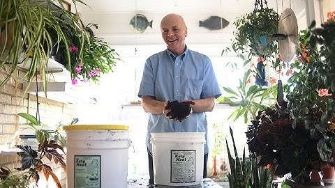 Composting in an apartment: What you need to know