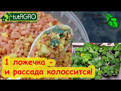 Одна ложечка этого средства и рассада преображается на глазах! Мощный защитник и стимулятор урожая.