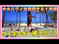 シーズン真っ盛り！今のワイキキに行った気分で一緒に歩いてみませんか？1時間のハワイ散歩！【4K】【ハワイ現状】【ハワイの今】【ハワイ旅行】【HAWAII】