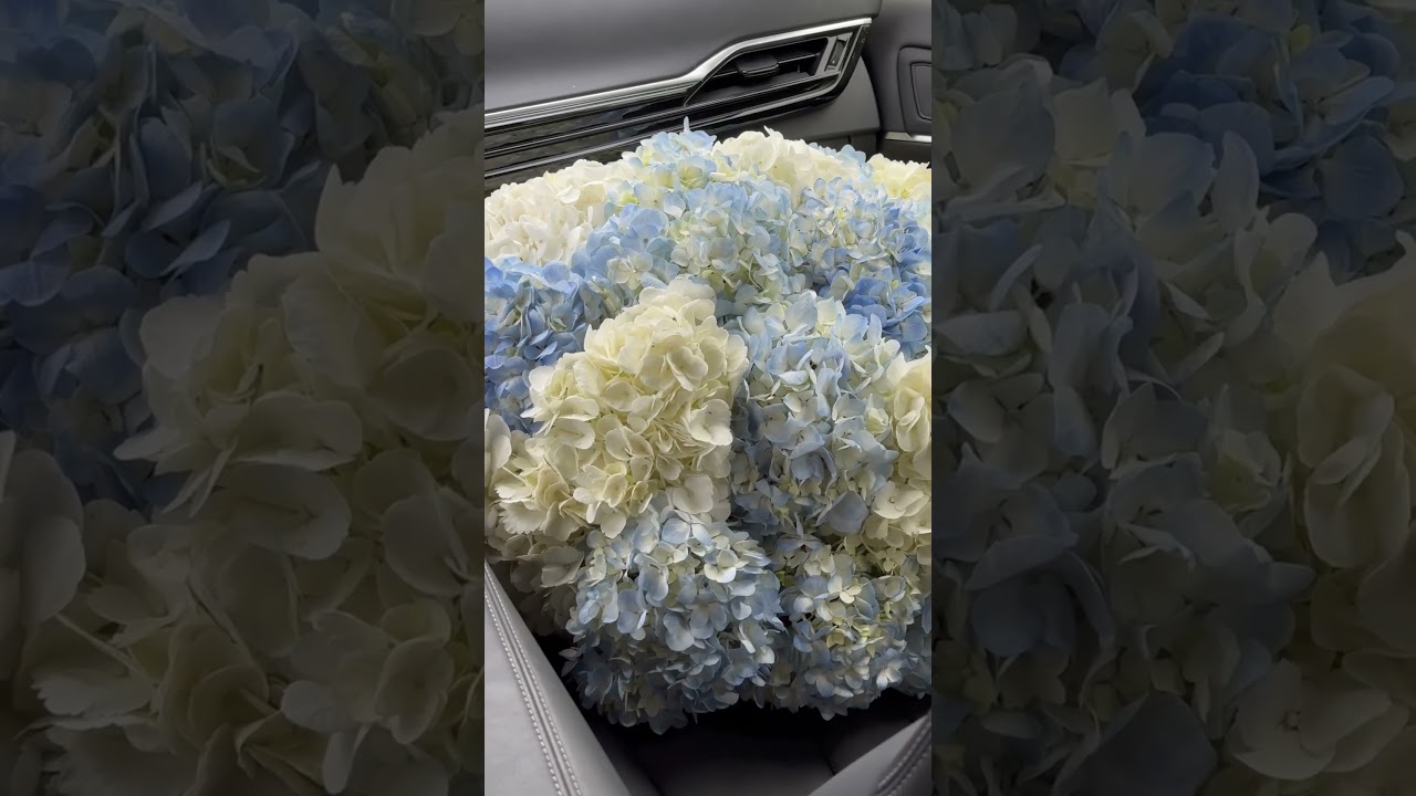 But it’s too cold💙🌧️ 