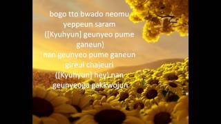 Super Junior   Sunflower  haebaragi  Rom