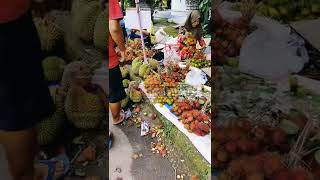 Borong Duren  Rambutan Di Jogorogo Ngawi belah Duren