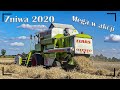 Konkurs CLAAS Żniwa Pszeniczne W Barwach Claasa 2020*8T/HA Claas Mega 202/Ursus/Autosan