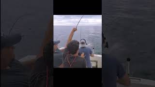 DOUBLE Lake Ontario King & Coho Salmon - Trolling For Salmon - fishing shorts shortsvideo