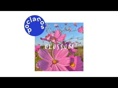 [Official Audio] 박상아 퀸텟 (parksanga quintet) - Blossom (feat. 이효주 Lee Hyo Joo)