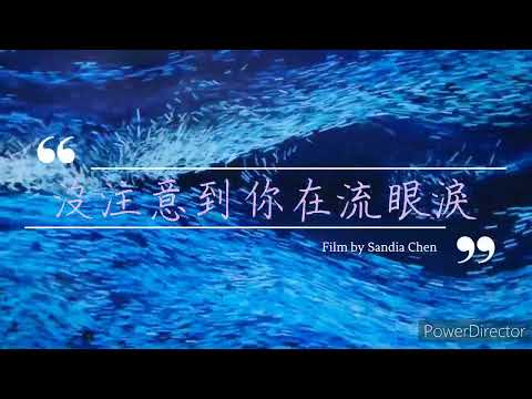 ［MV小品］沒注意到你在流眼淚 feat.Lily