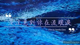 ［MV小品］沒注意到你在流眼淚 feat.Lily