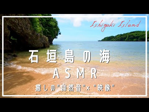 【ASMR】リラクゼーションBGM《自然音 × 映像》石垣島の海～波の音と鳥のさえずりと歩き回るヤドカリたち