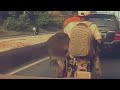 Caucasian Dog on a Motor Bike