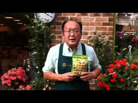 肥料をあげるタイミング 葉の色で見分ける Youtube
