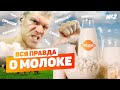 Всё про вред коровьего молока. Почему для нас опасны лактоза и казеин?