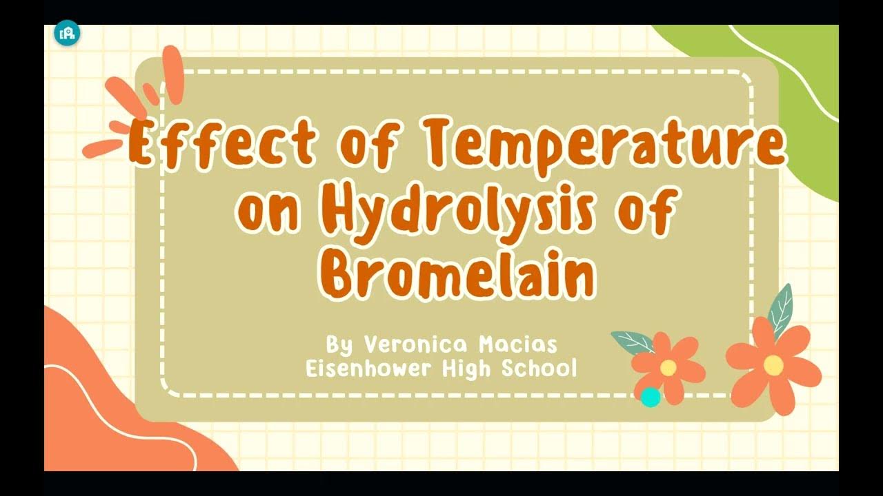 Effect of Temperature on Hydrolysis of Bromelain YouTube