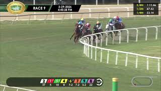 March 29, 2026 Race 9