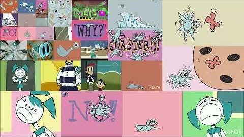 Pigeon And Jenny Random Maze