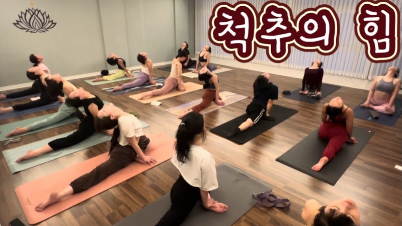 [엔젤요가] 매순간 깨어있는 힘 • 척추의 힘 • 의식을 명료하게