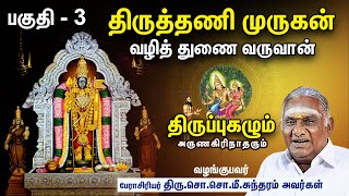 திருத்தணி முருகன் வழித் துணை வருவான் I திருப்புகழும் அருணகிரிநாதரும் - பகுதி - 3 I Thirupugal