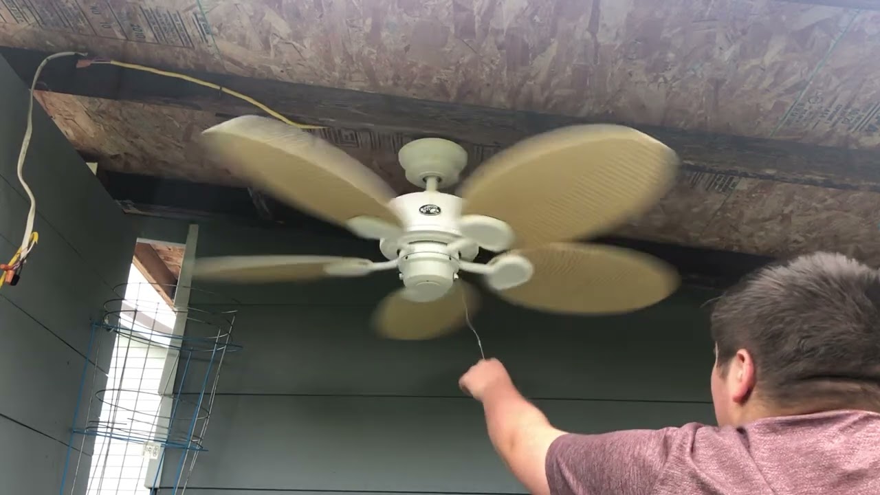 48” Hampton Bay Palm Beach Ceiling Fan (Light Oak Blades)
