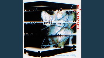 Cybernetic Intelligence