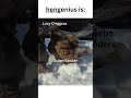 Meet the boygenius ... of chickens?