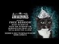 Wyrd awakening presents free sessions