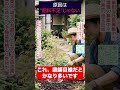 今すぐやめて…5月のその肥料、庭木を弱らせてます #shorts #庭師