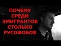 ПОЧЕМУ СРЕДИ ЭМИГРАНТОВ СТОЛЬКО РУСОФОБОВ / Блогер и Хаски / Блогер БН