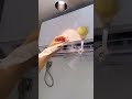 Video Image