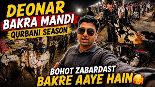 Deonar Bakra Mandi Qurbani Season 2026 🔥 Bohot Zabardast Bakre Aa Gaye | Full Night Mandi Rush 🐐😍