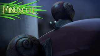 Minuscule - Escargot qui roule n&#39;amasse pas mousse / A rolling snail gathers no Moss (Season 1)