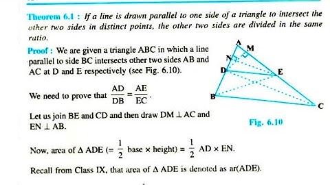 Chapter-6 (thales theorem) triangle class 10 basic propostionality theorem punjabi,eng medium
