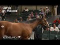 Hip 92, Into Mischief - Delightful Joy sells for $2.3 million at 2023 Keeneland September