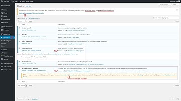 Automatic Update The Plugins