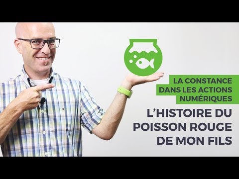 Vidéo: De Quoi Parle 