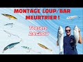 Mon montage infaillible pour pcher le loupbar  je vous explique tout de a  z 