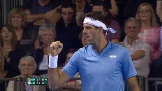 RESUMEN: Andy Murray (GBR) v Juan Martín del Potro (ARG)